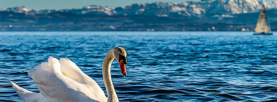 Ferienwohnungsanbieter kontaktieren
